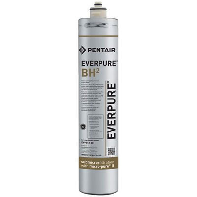 Everpure EV961250 BH Water Filter Cartridge, 1/2 Micron Rated, 3,000 GPM