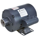 Dean 807-3686 Filter Motor 1/3 HP 1PH 50/60 Hz