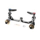 T&S Brass B-0230-CCLN Double Pantry Swivel Base Faucet Wall Mount