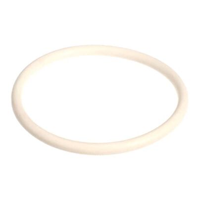 Multiplex 020007224 Keg LID O-RING NSF 20