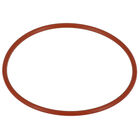 Everpure 158096 O-Ring - For Q-756 Filter
