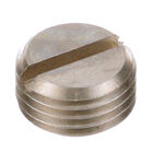 Hobart 893093-00002 Rinse Arm End Plug