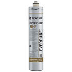 Everpure EV961250 BH Water Filter Cartridge 1/2 Micron 3000 GPM