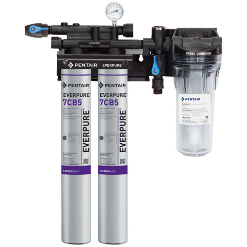 Everpure EV9797-22 Kleensteam LI Twin  System