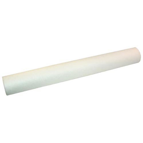 Everpure EV9534-20 EC210 20" Water Filter Cartridge